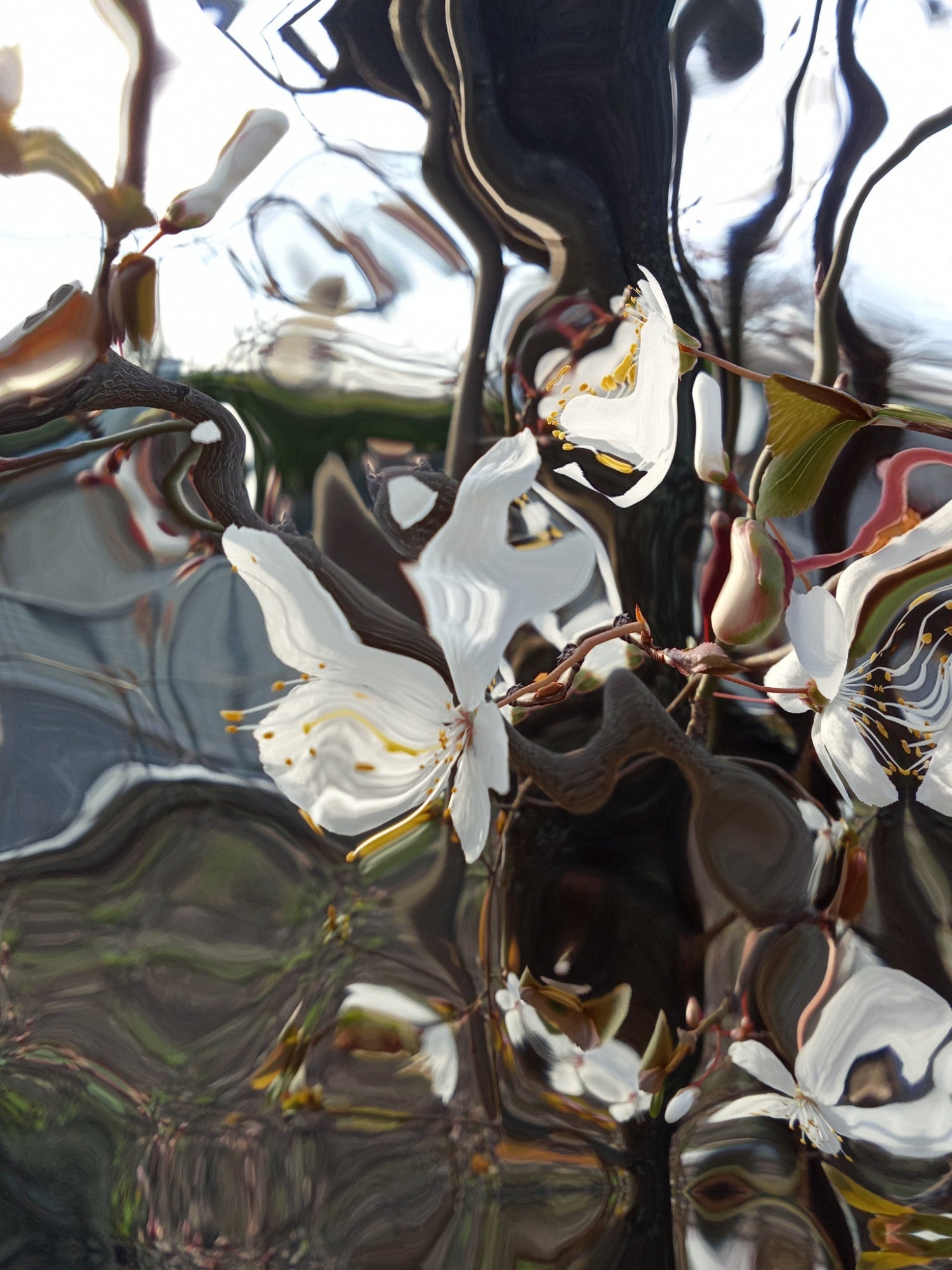 Abstract photography by ©Aurelina 