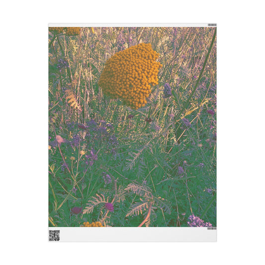 Photography print wrapping paper 
 ©Kelewele & Shito