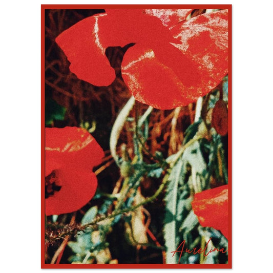 c9c063c4-ce4e-42cb-b638-fe3193ca861d