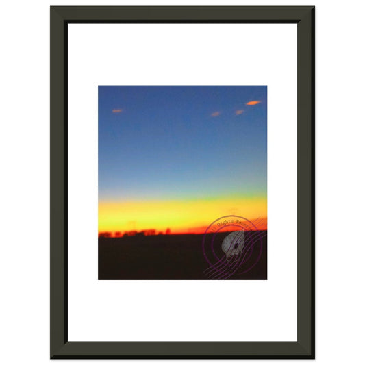 d456bc90-fd66-459c-88c1-cfc87e2d64d7